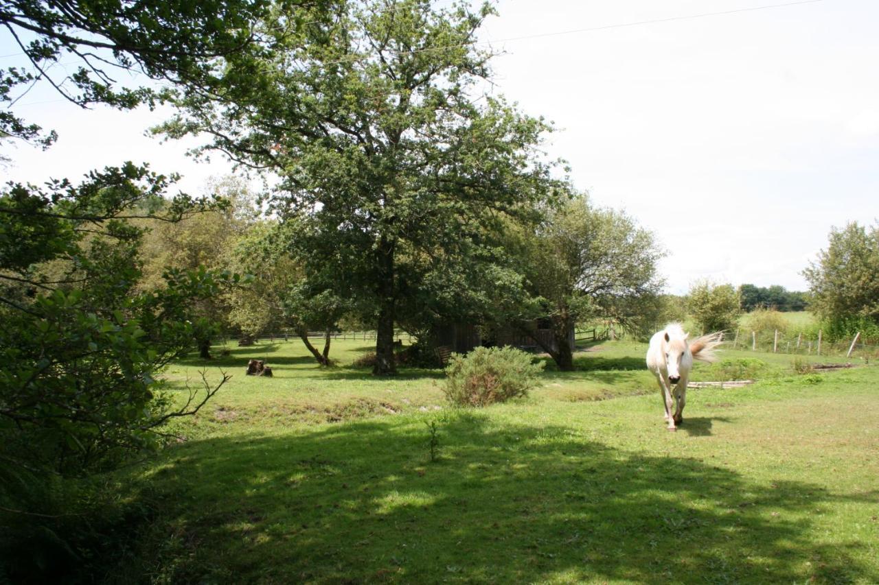 Ferienwohnung 2 Coeurs 2 Landes Garrosse Exterior foto